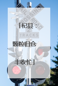 杞县：颗粒归仓丰收忙