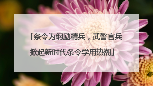 条令为纲励精兵，武警官兵掀起新时代条令学用热潮