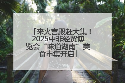 来火宫殿赶大集！2025中非经贸博览会“味道湖南”美食市集开启