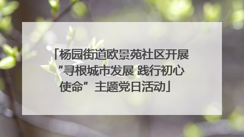杨园街道欧景苑社区开展“寻根城市发展 践行初心使命”主题党日活动
