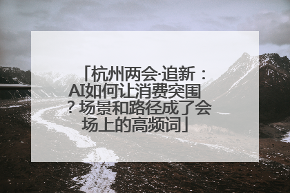杭州两会·追新：AI如何让消费突围？场景和路径成了会场上的高频词