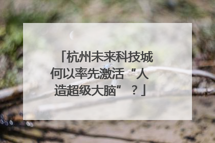 杭州未来科技城何以率先激活“人造超级大脑”？