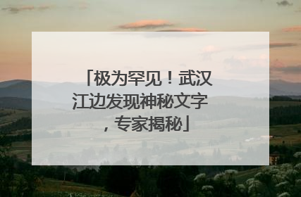 极为罕见！武汉江边发现神秘文字，专家揭秘
