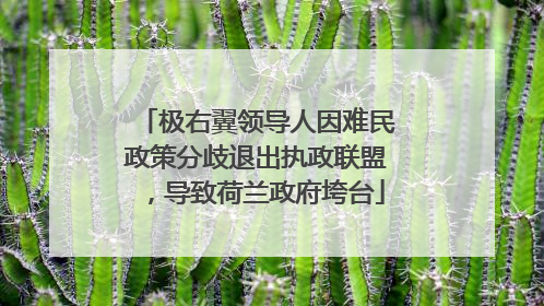 极右翼领导人因难民政策分歧退出执政联盟，导致荷兰政府垮台