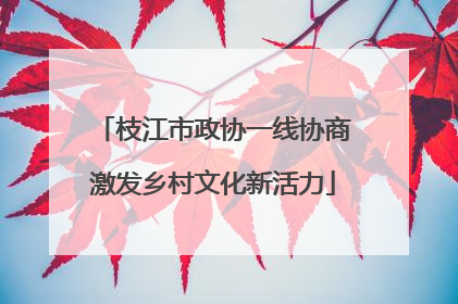枝江市政协一线协商激发乡村文化新活力