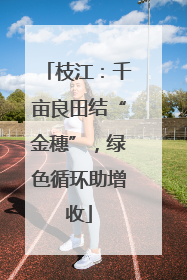 枝江：千亩良田结“金穗”，绿色循环助增收