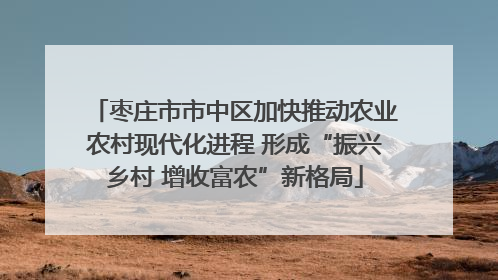 枣庄市市中区加快推动农业农村现代化进程 形成“振兴乡村 增收富农”新格局