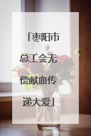 枣阳市总工会无偿献血传递大爱