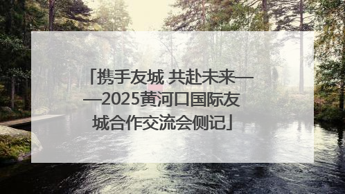 携手友城 共赴未来——2025黄河口国际友城合作交流会侧记