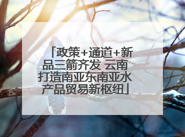 政策+通道+新品三箭齐发 云南打造南亚东南亚水产品贸易新枢纽