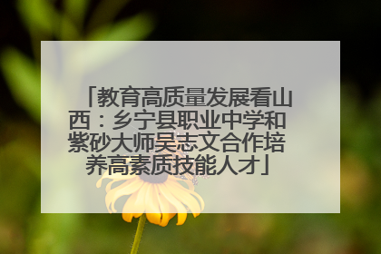 教育高质量发展看山西：乡宁县职业中学和紫砂大师吴志文合作培养高素质技能人才