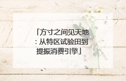 方寸之间见天地：从特区试验田到提振消费引擎