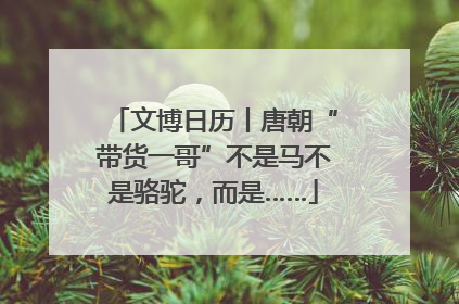 文博日历丨唐朝“带货一哥”不是马不是骆驼，而是……