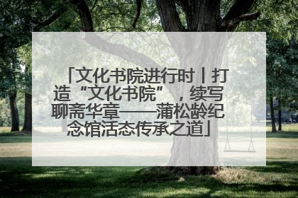 文化书院进行时丨打造“文化书院”，续写聊斋华章——蒲松龄纪念馆活态传承之道