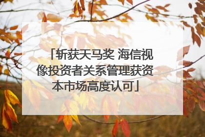 斩获天马奖 海信视像投资者关系管理获资本市场高度认可