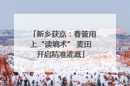 新乡获嘉：春管用上“读墒术” 麦田开启精准灌溉