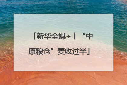 新华全媒+丨“中原粮仓”麦收过半