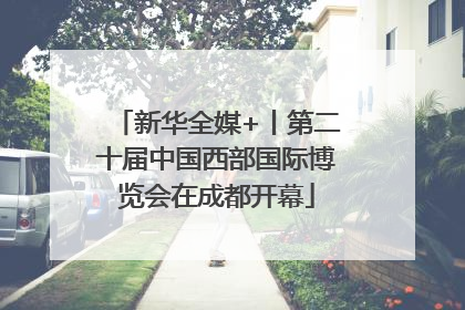 新华全媒+丨第二十届中国西部国际博览会在成都开幕