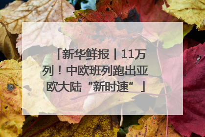 新华鲜报丨11万列！中欧班列跑出亚欧大陆“新时速”