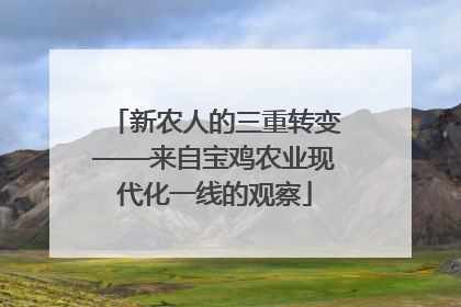 新农人的三重转变——来自宝鸡农业现代化一线的观察