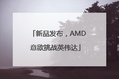 新品发布，AMD意欲挑战英伟达