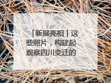 新展亮相｜这些照片，构建起观察四川变迁的独特视角