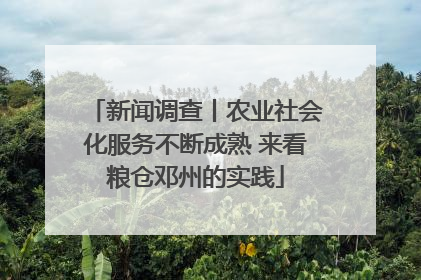 新闻调查丨农业社会化服务不断成熟 来看粮仓邓州的实践