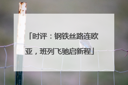 时评：钢铁丝路连欧亚，班列飞驰启新程