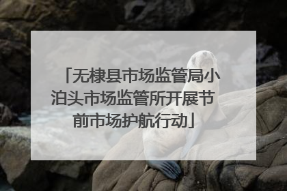 无棣县市场监管局小泊头市场监管所开展节前市场护航行动