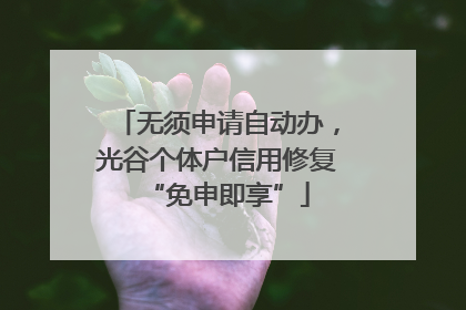 无须申请自动办，光谷个体户信用修复“免申即享”