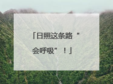 日照这条路“会呼吸”！