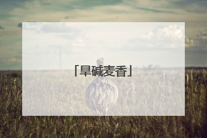 旱碱麦香