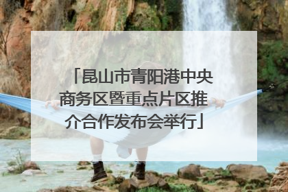 昆山市青阳港中央商务区暨重点片区推介合作发布会举行