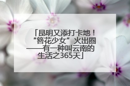 昆明又添打卡地！“簪花少女”火出圈——有一种叫云南的生活之365天