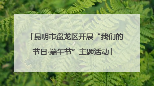 昆明市盘龙区开展“我们的节日·端午节”主题活动