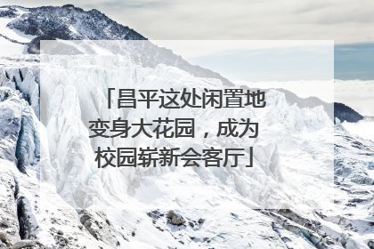 昌平这处闲置地变身大花园，成为校园崭新会客厅