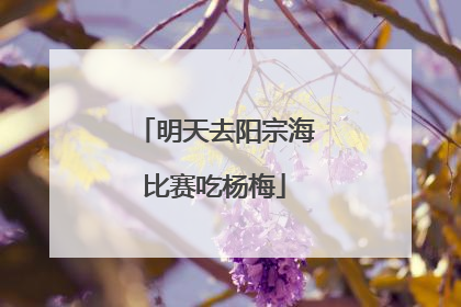 明天去阳宗海比赛吃杨梅
