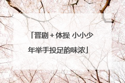 晋剧＋体操 小小少年举手投足韵味浓