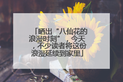 晒出“八仙花的浪漫时刻”，今天，不少读者将这份浪漫延续到家里