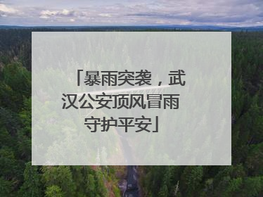 暴雨突袭，武汉公安顶风冒雨守护平安