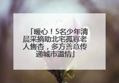 暖心！5名少年清晨采摘助北宅孤寡老人售杏，多方善意传递城市温情