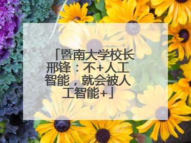 暨南大学校长邢锋：不+人工智能，就会被人工智能+