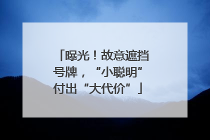 曝光！故意遮挡号牌，“小聪明”付出“大代价”