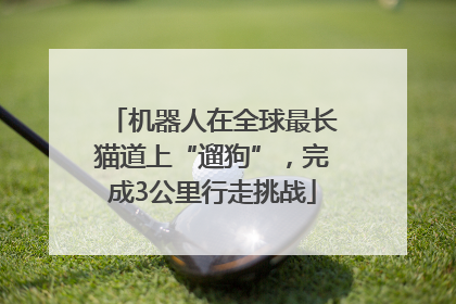机器人在全球最长猫道上“遛狗”，完成3公里行走挑战