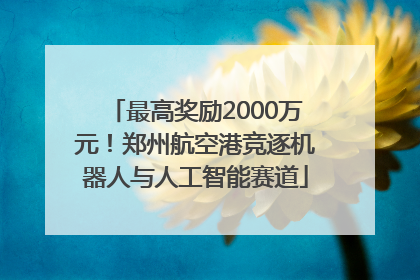 最高奖励2000万元！郑州航空港竞逐机器人与人工智能赛道
