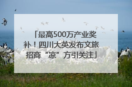 最高500万产业奖补！四川大英发布文旅招商“凉”方引关注
