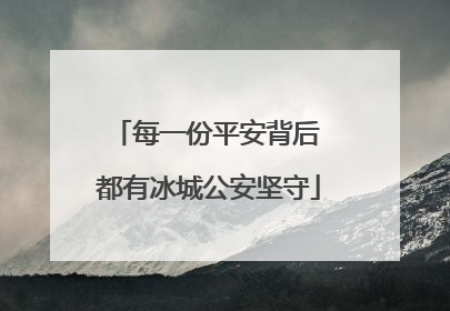 每一份平安背后 都有冰城公安坚守