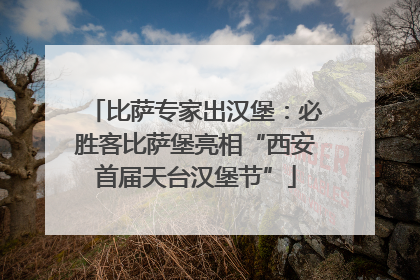 比萨专家出汉堡：必胜客比萨堡亮相“西安首届天台汉堡节”