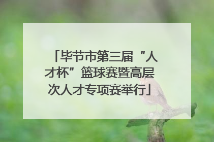 毕节市第三届“人才杯”篮球赛暨高层次人才专项赛举行