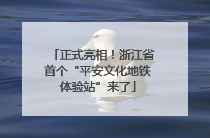 正式亮相！浙江省首个“平安文化地铁体验站”来了